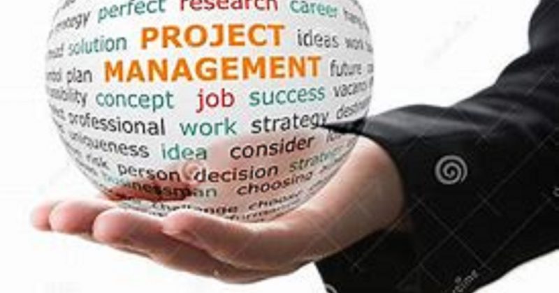 How Project Managers Tackle Problems In Project Management.